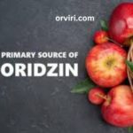 Oridzin