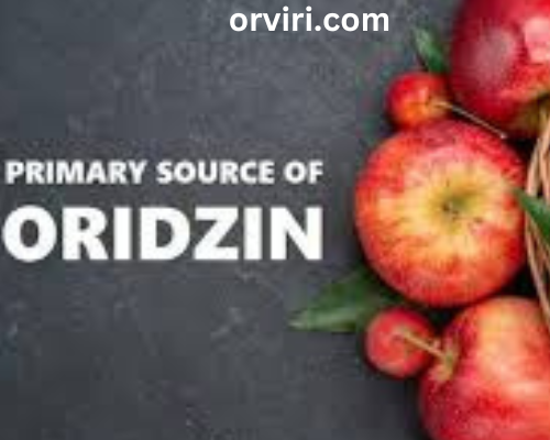 Oridzin